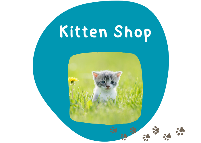 Kitten Store