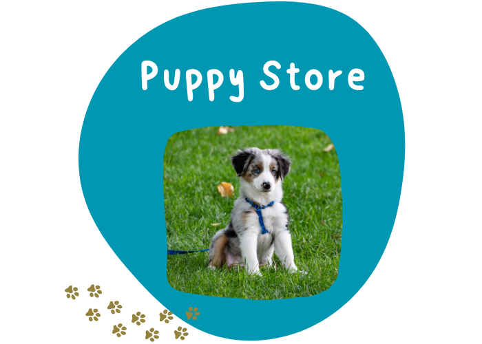 Puppy Store